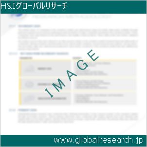 グローバルリサーチ調査レポートのイメージ